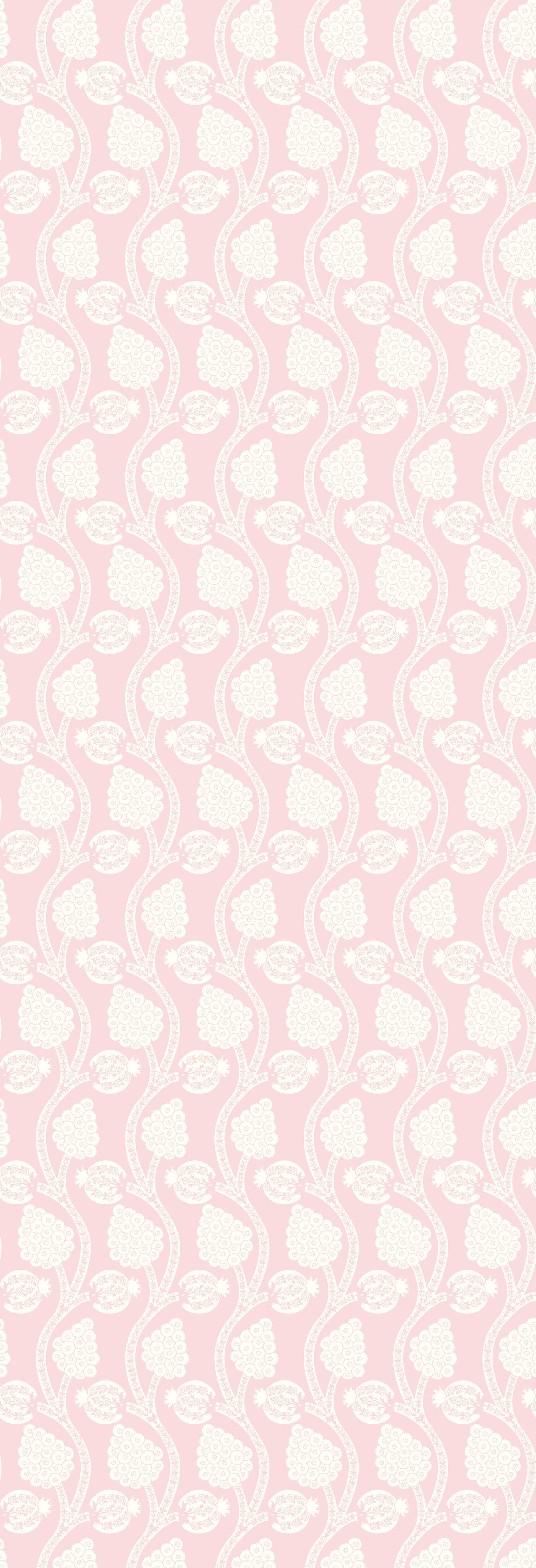 Angoori | Gauze | Candy