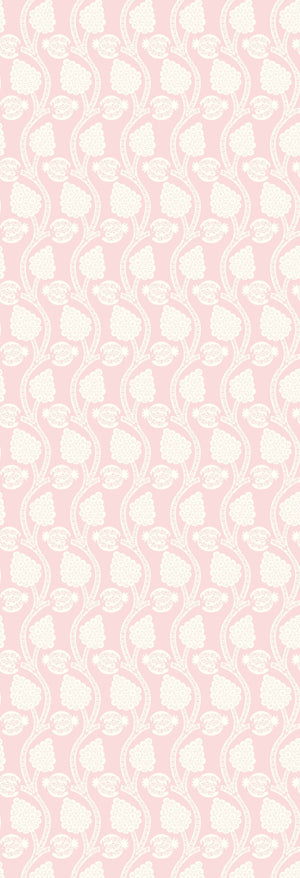Angoori | Gauze | Candy | Wallpaper