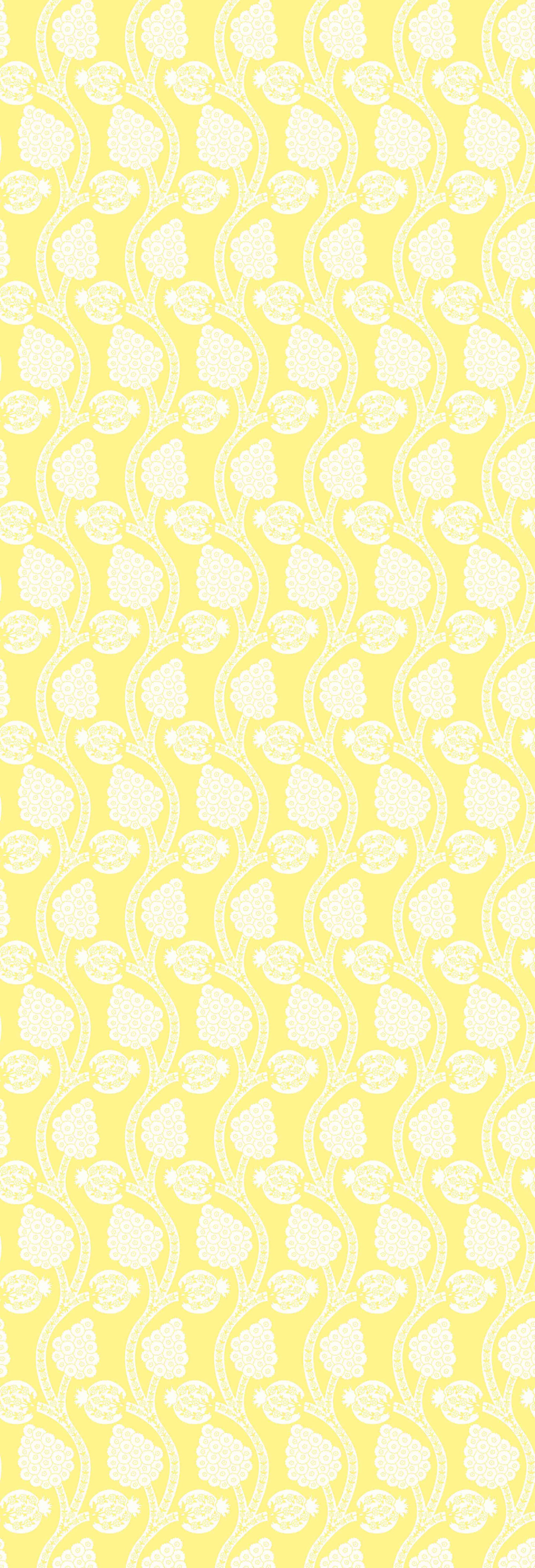 Angoori | Gauze | Lemon