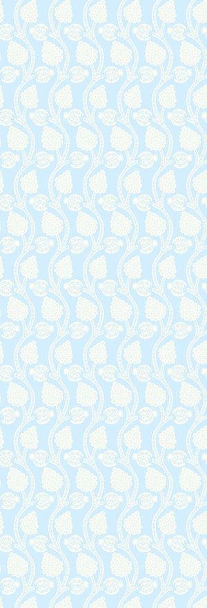 Angoori | Gauze | Sky | Wallpaper