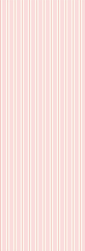 Dhaari | Gauze | Candy | Wallpaper