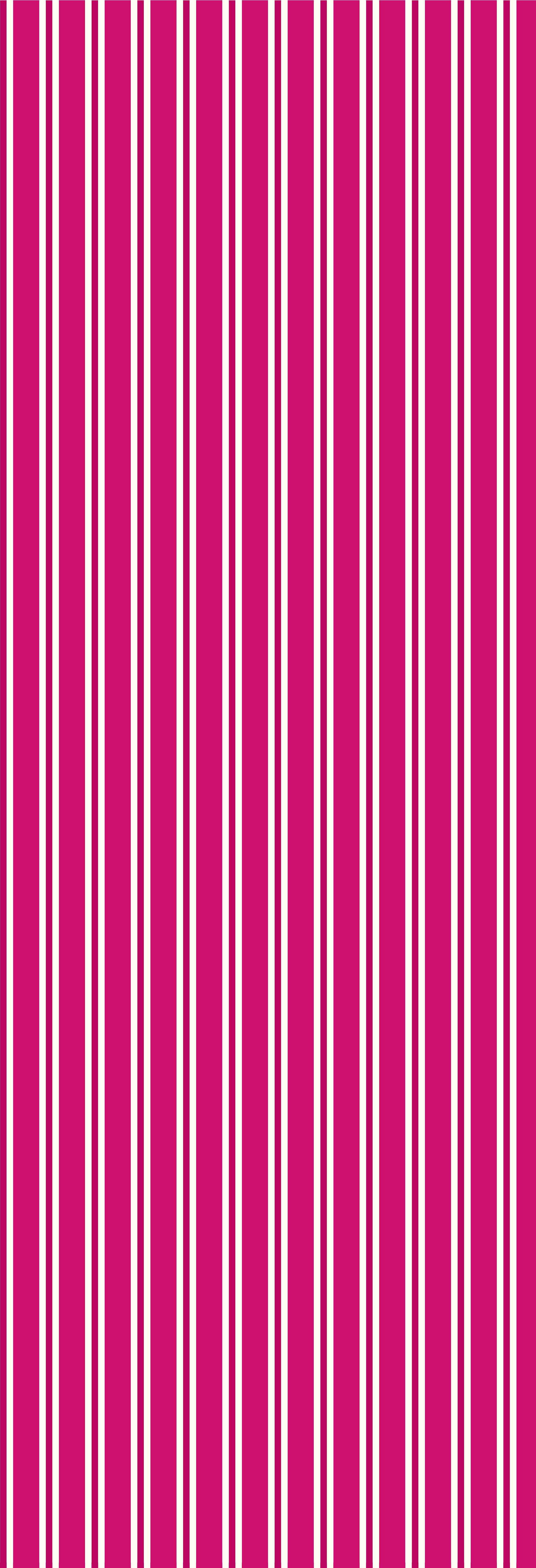 Dhaari | Gauze | Fuschia