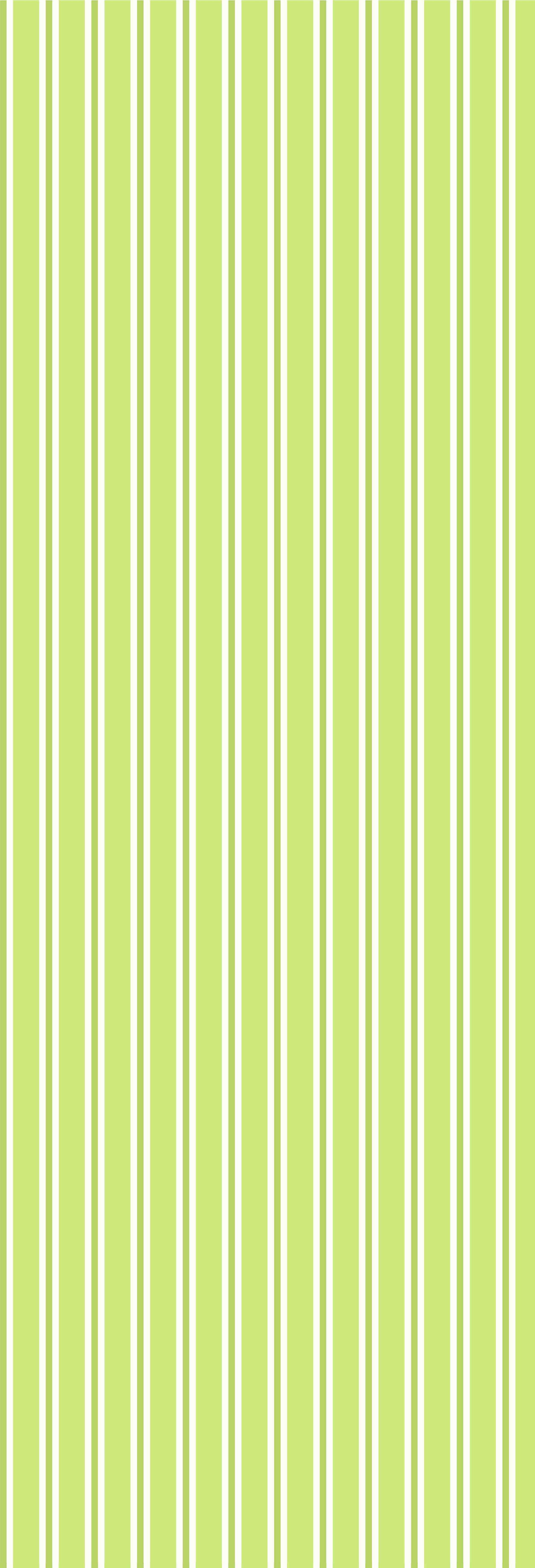 Dhaari | Gauze | Lime