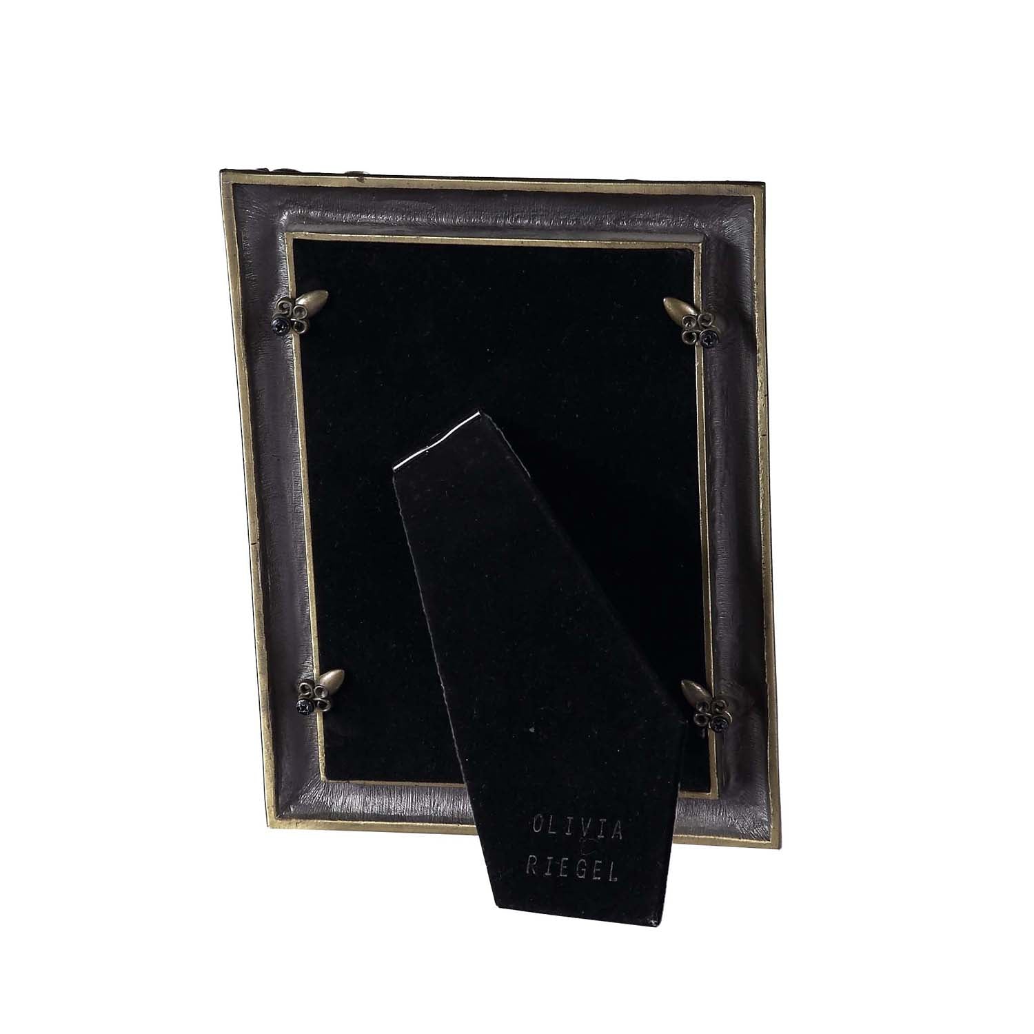Royal Swarovski Enameled Photo Frame - Medium