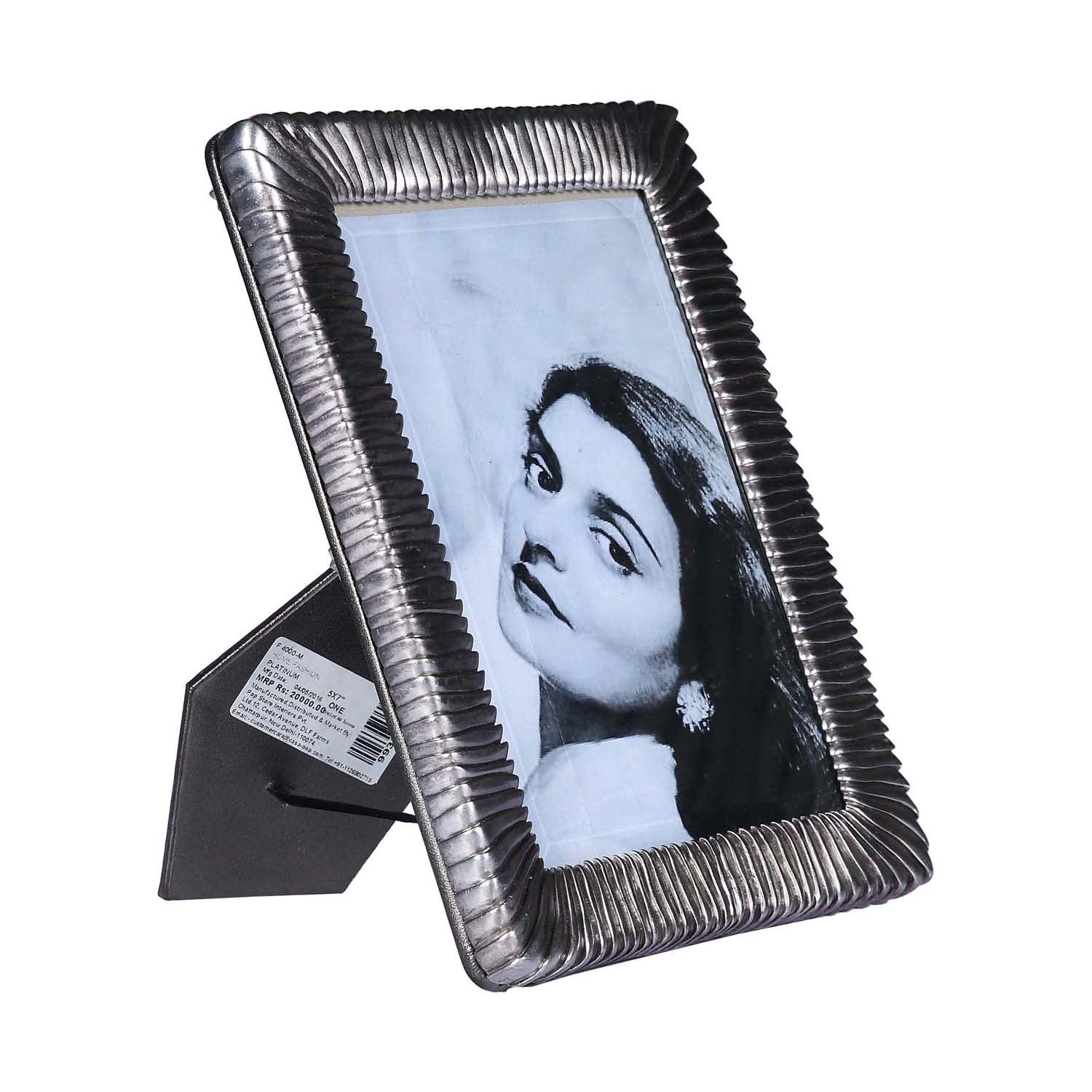 Scale Silver Photo Frame - Large