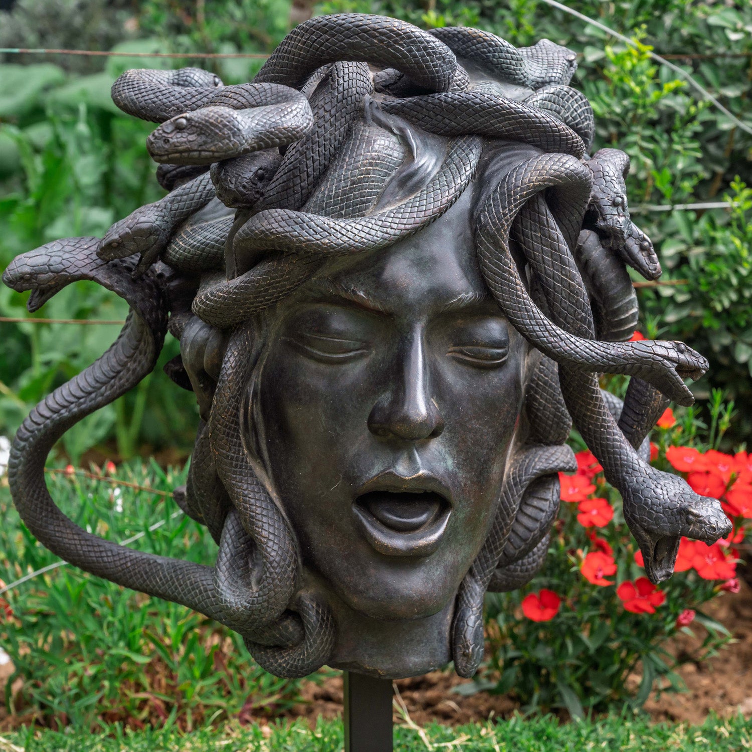 MEDUSA 1 BUST ON STAND