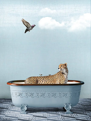 Solids | Lustre | Breeze | Wallpaper