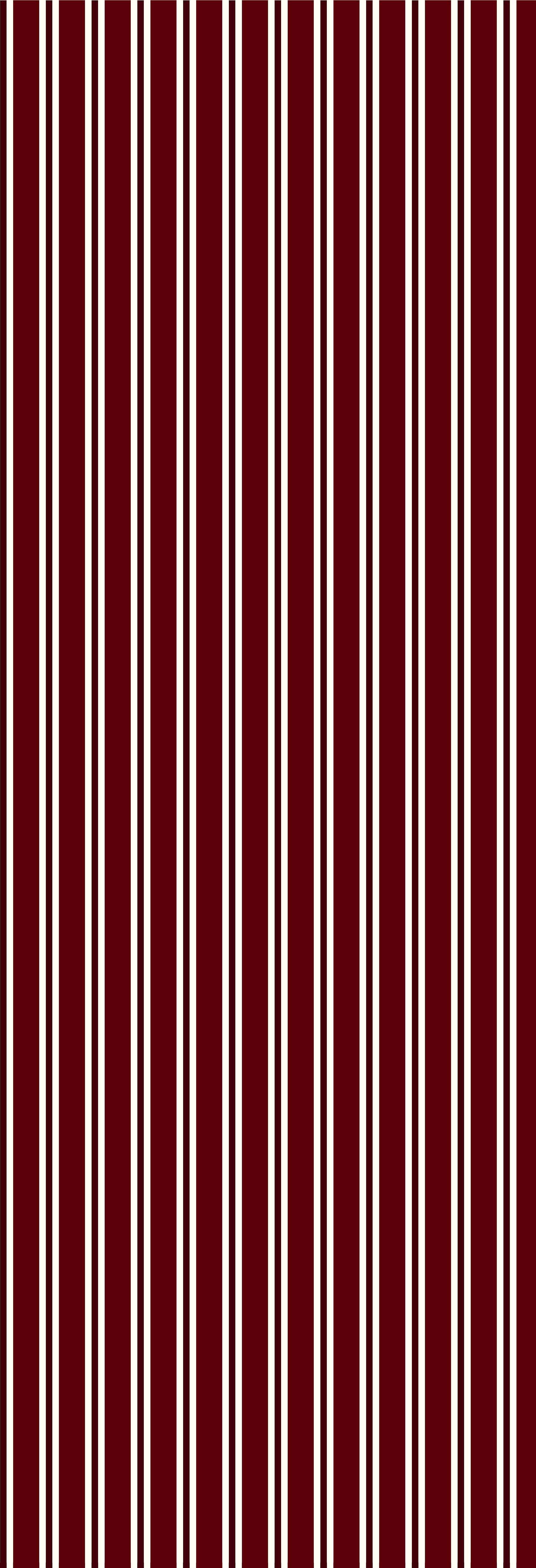 Dhaari | Gauze | Burgundy