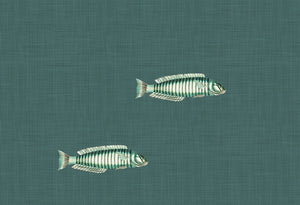 Flying Solo | Gauze | Monsoon | Wallpaper