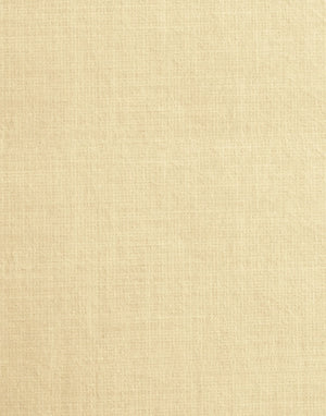 Solids | Gauze | Macaroon | Wallpaper