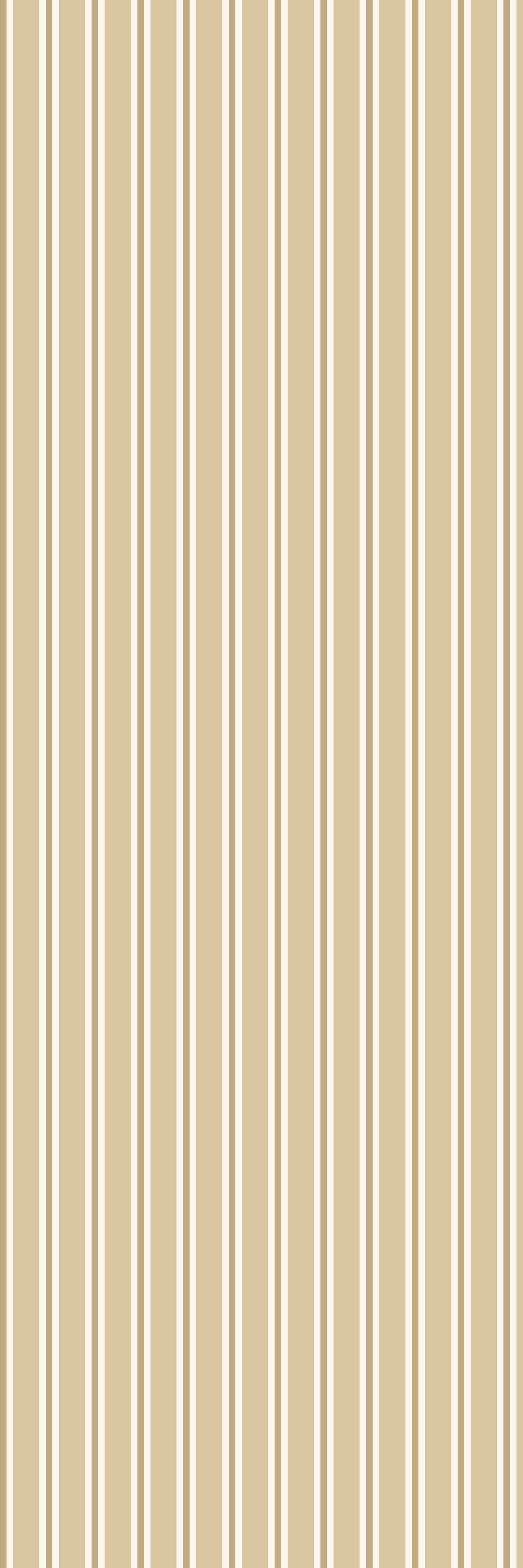 Dhaari | Lustre | Gold