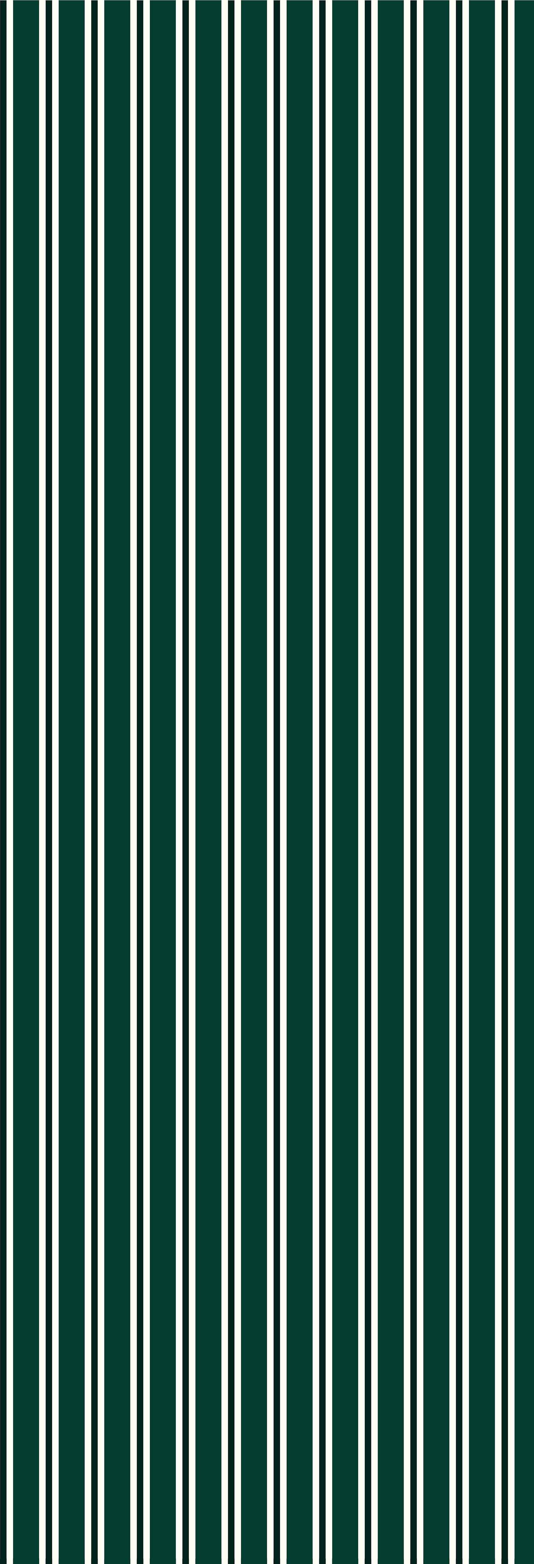 Dhaari | Gauze | Green