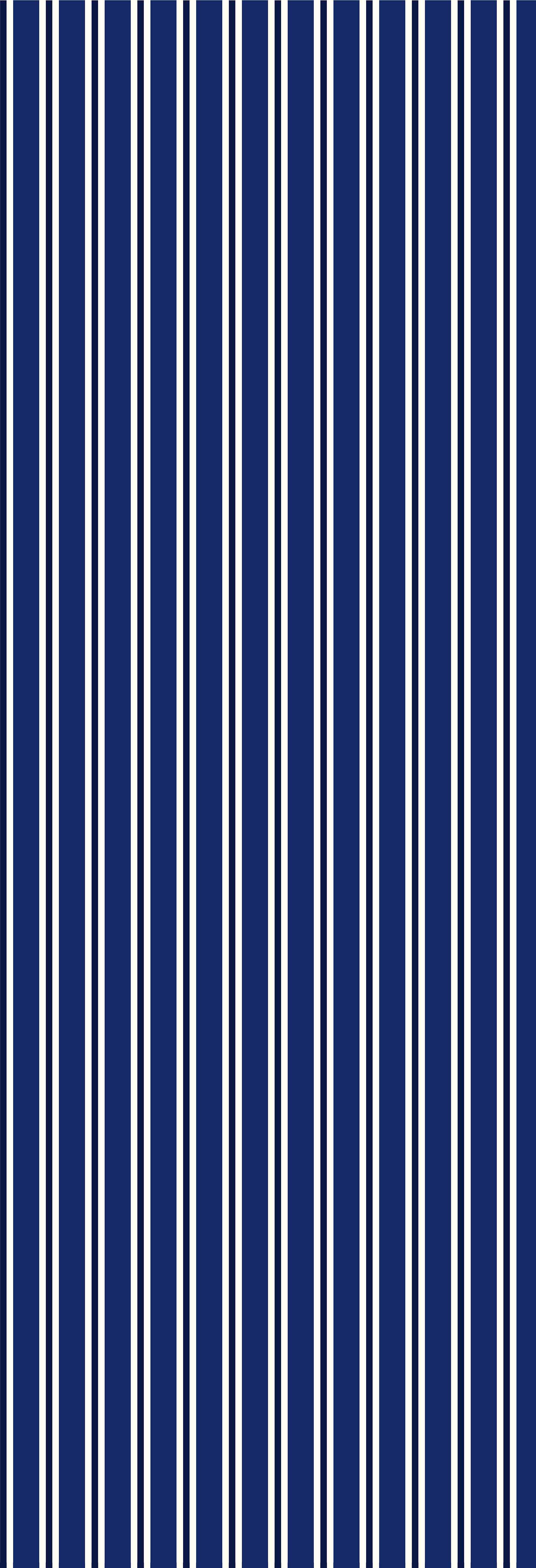Dhaari | Gauze | Navy