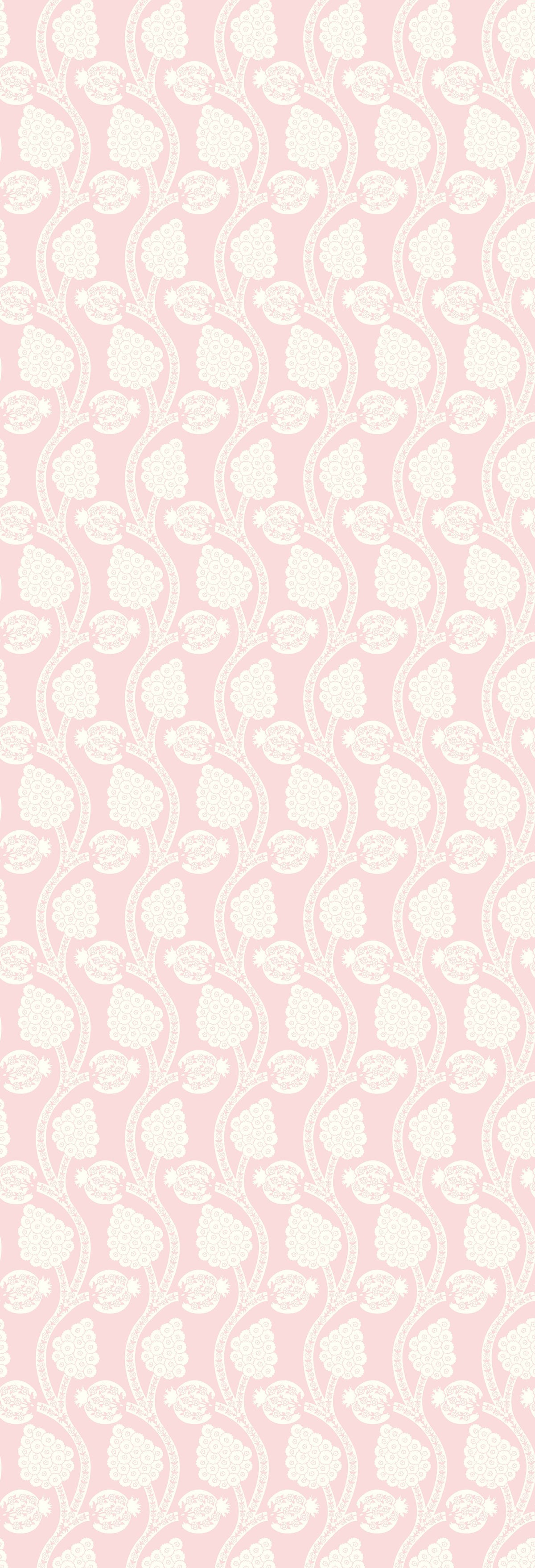 Angoori | Gauze  | Candy | Wallpaper