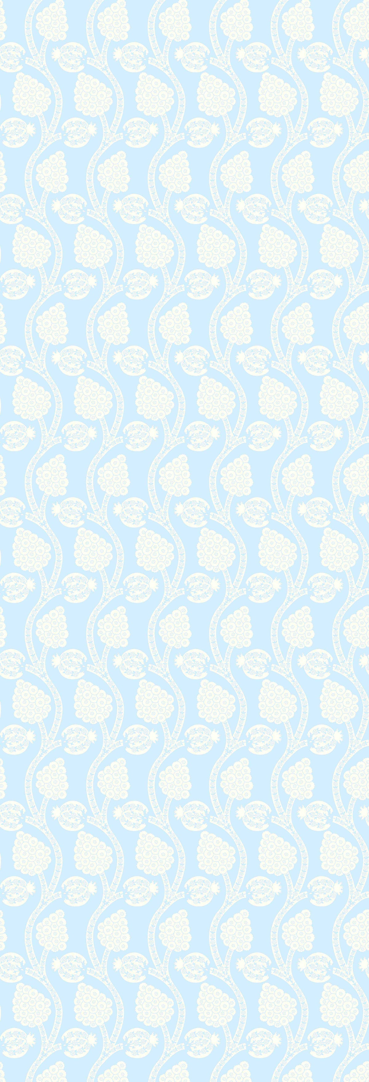 Angoori | Gauze  | Sky | Wallpaper