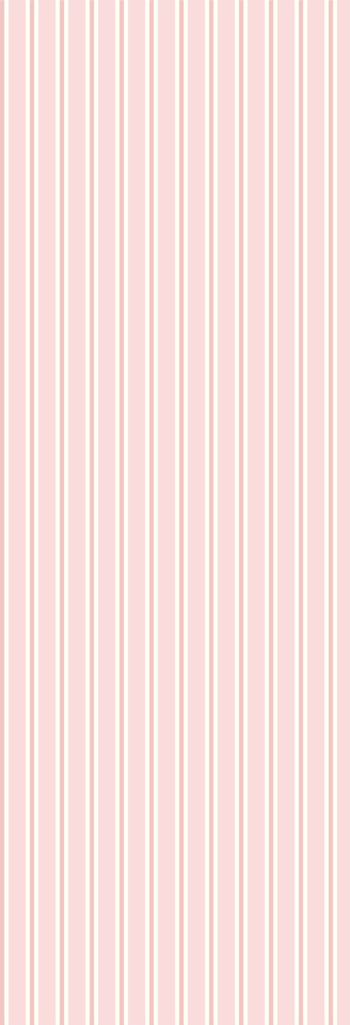 Dhaari | Gauze  | Candy | Wallpaper