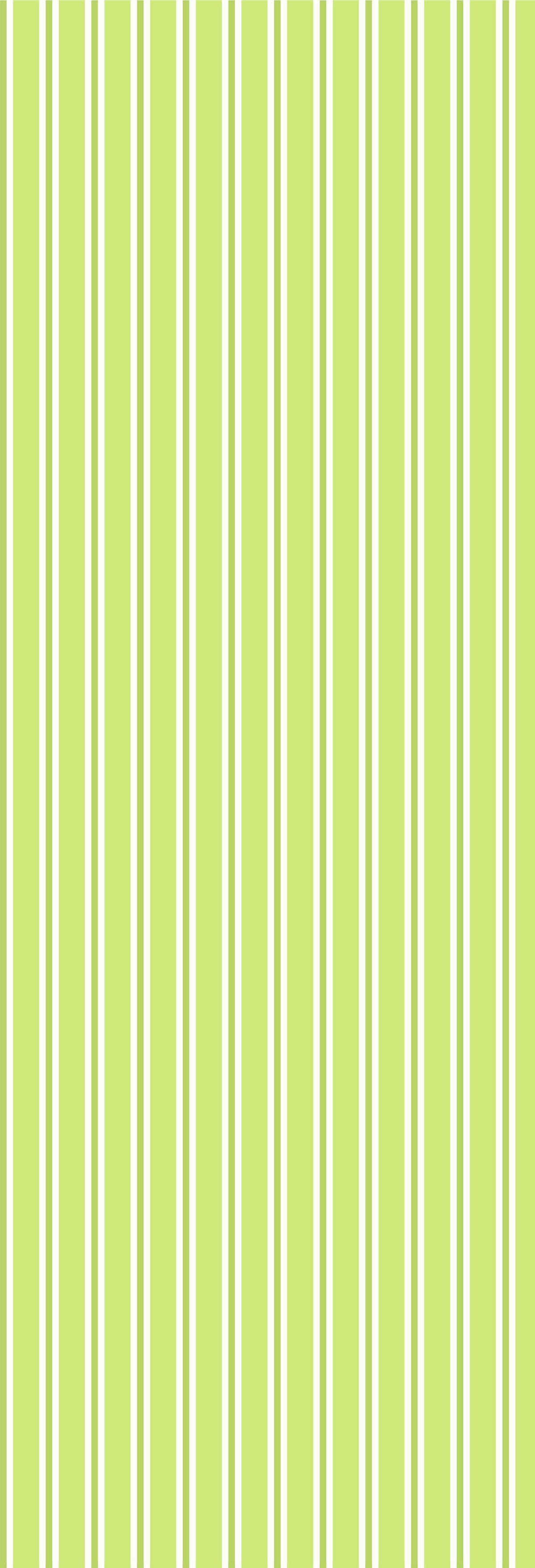 Dhaari | Gauze  | Lime | Wallpaper