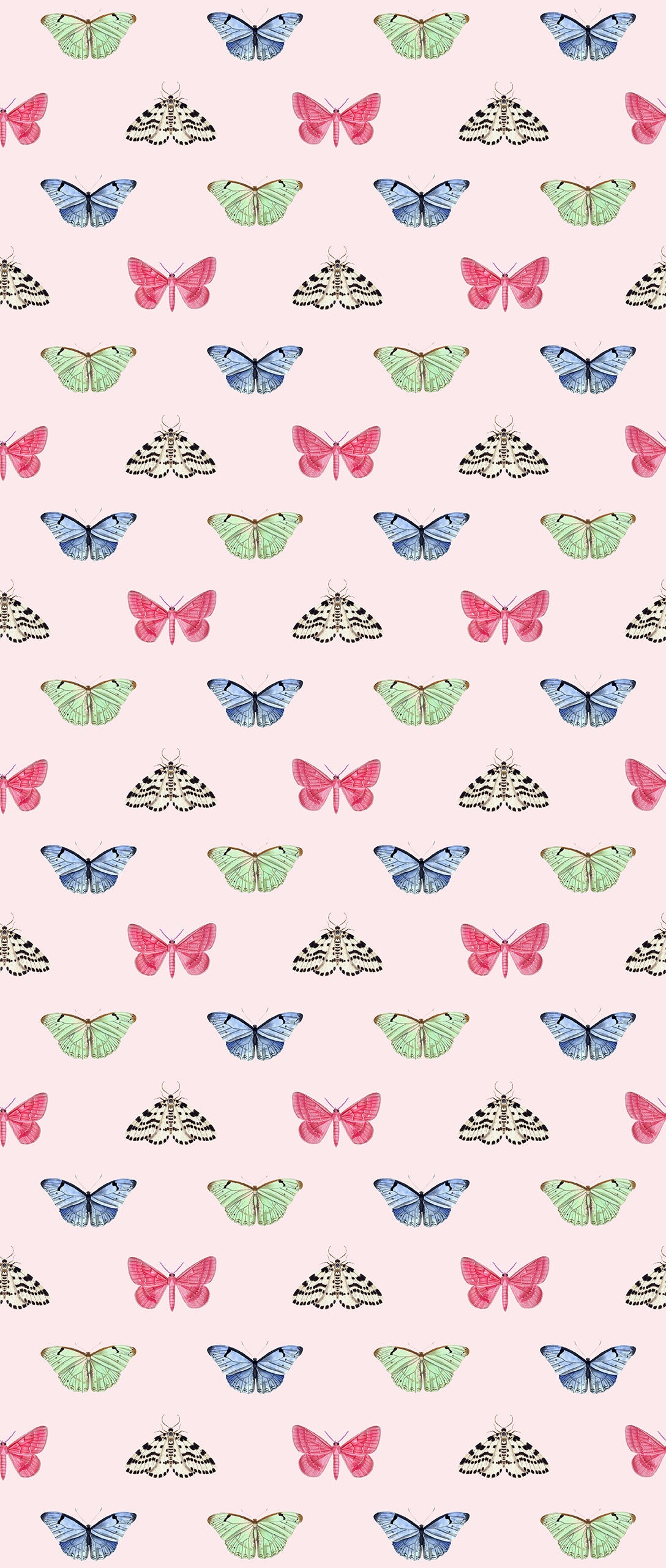 PAPILLON | LAWN | BLUSH | WALLPAPER