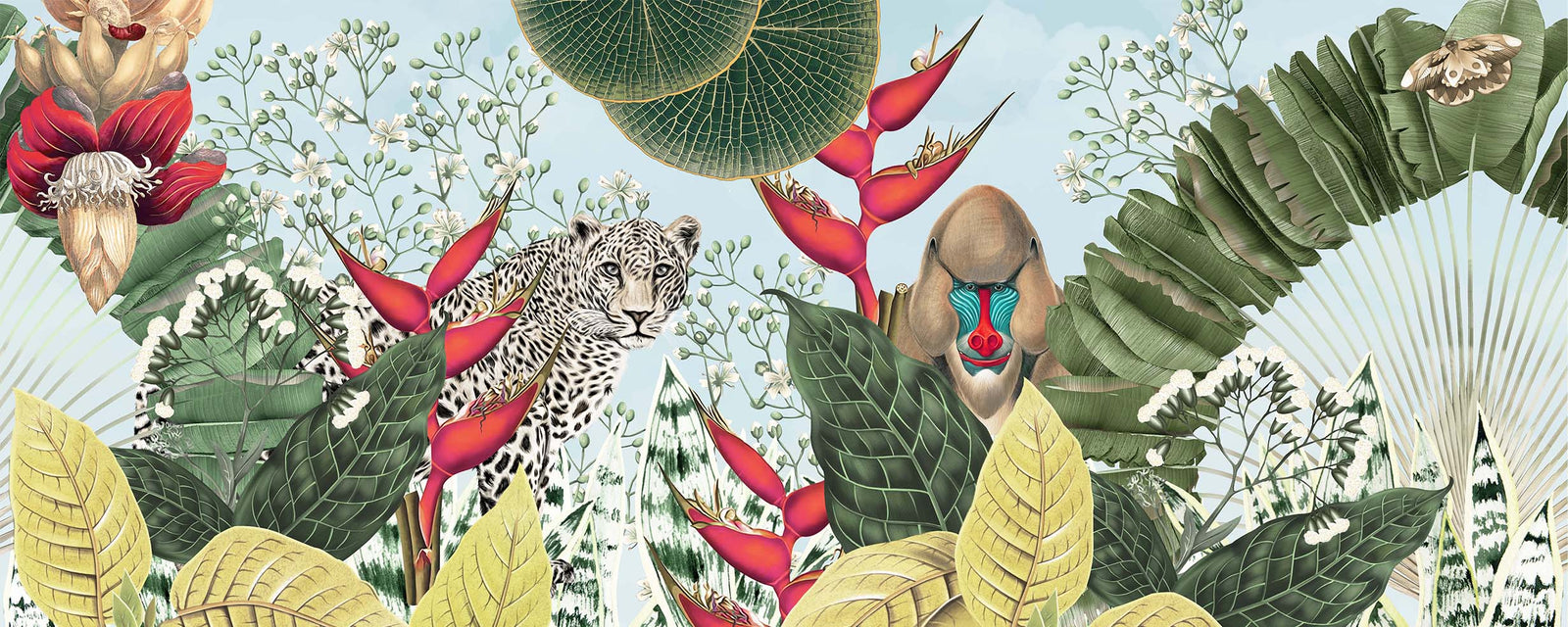 AMAZONIA | LAWN  | CLASSIC | WALLPAPER | NEW IN