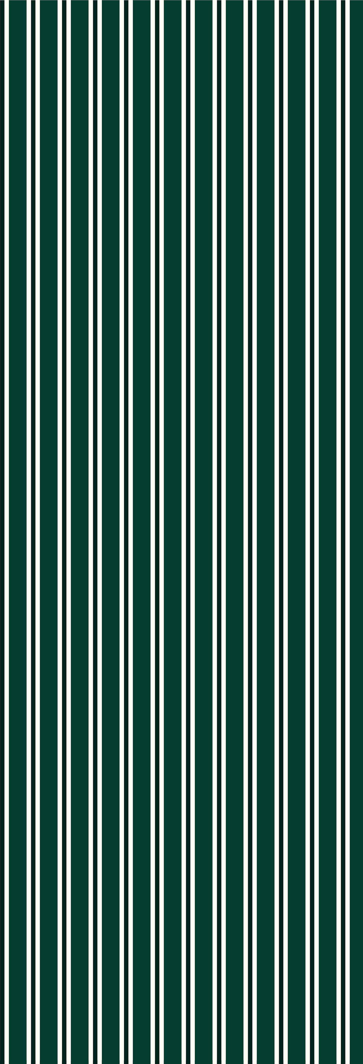 Dhaari | Gauze | Green | Wallpaper