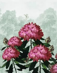 The Wall Flower | Gauze | Grove Green | Wallpaper