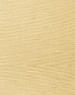Solids | Shantung | Biscotti | Wallpaper