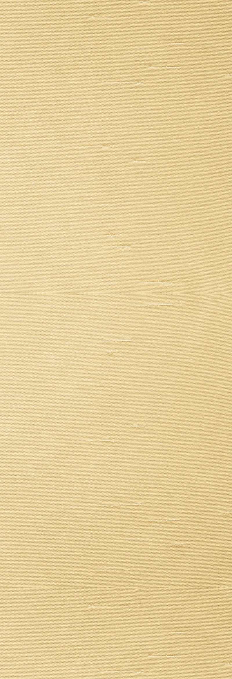 Solids | Shantung | Biscotti | Wallpaper