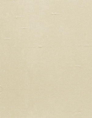 Solids | Shantung | Desert | Wallpaper