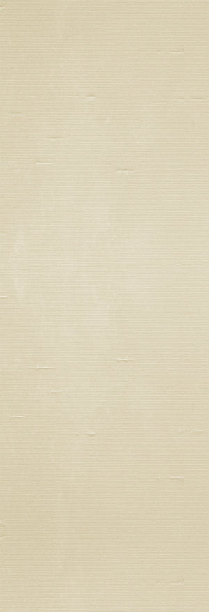 Solids | Shantung | Desert | Wallpaper