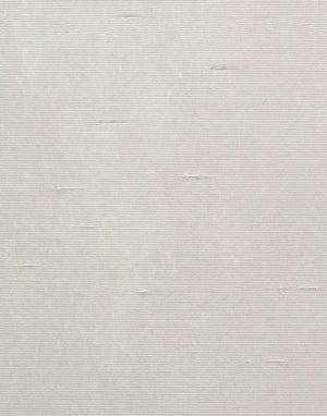 Solids | Shantung | Shitake | Wallpaper